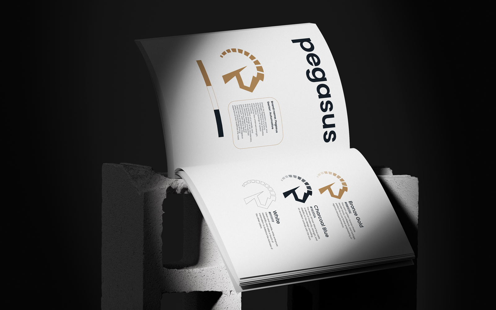 Example of Brand Guide